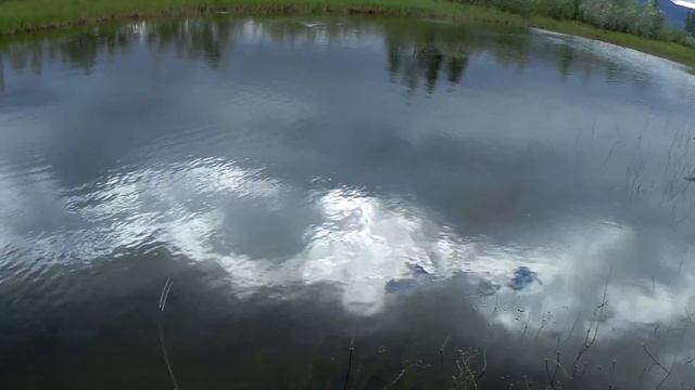 НЕРЕАЛЬНОЕ КОЛИЧЕСТВО ЩУКИ В МАЛЕНЬКОМ И МЕЛКОМ ЗАЛИВЕ! РЫБАЛКА МЕЧТЫ! КРУПНАЯ ЩУКА НА КАЖДЫЙ ЗАБРО смотреть онлайн