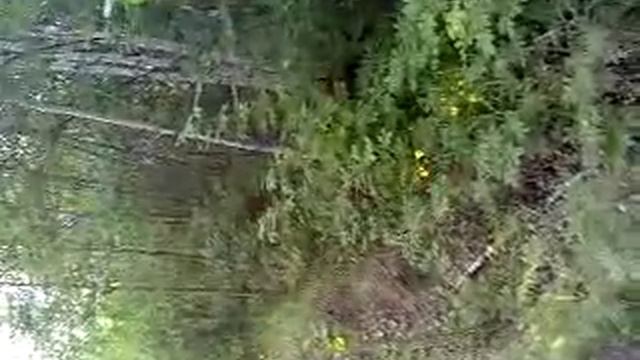 РПГ Сирена 1 г,4 мес.(ч.п.чГром-Раскат 6169/15+Рубишка 6339/16) смотреть онлайн