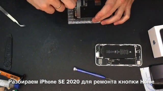 Разборка iPhone SE 2020 для ремонта кнопки Home смотреть онлайн
