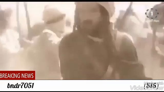 ثعلبي والثعلبي فاقد صوابه смотреть онлайн