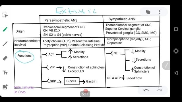 Review of GIT control (neuronal) смотреть онлайн