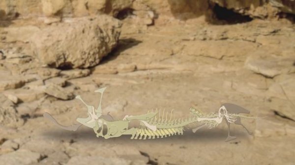 Dinosaur bone puzzle study | What shape are dinosaur bones? | What did the dinosaurs eat?|공룡의 뼈를 찾아