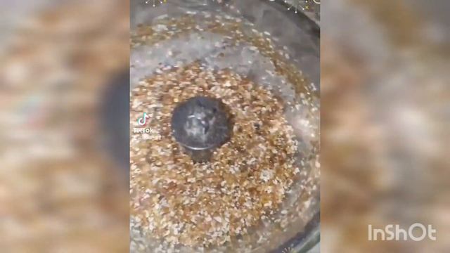 Конфетки финики +кокосовая стружка смотреть онлайн