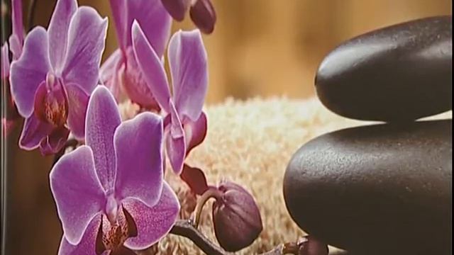 Сало согревает. Самый морозный сюжет этого сезона. смотреть онлайн