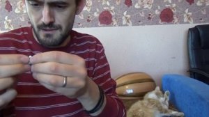 Как вытащить клеща из кота подручными средствами