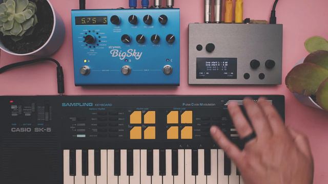 Monome Norns + Strymon Big Sky + Casio SK-5 смотреть онлайн