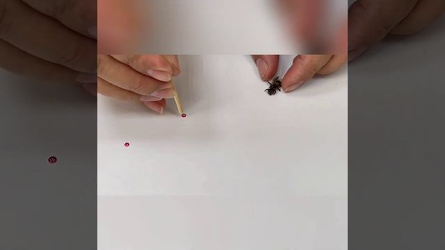 Метки для маток, опалитки цифровые смотреть онлайн