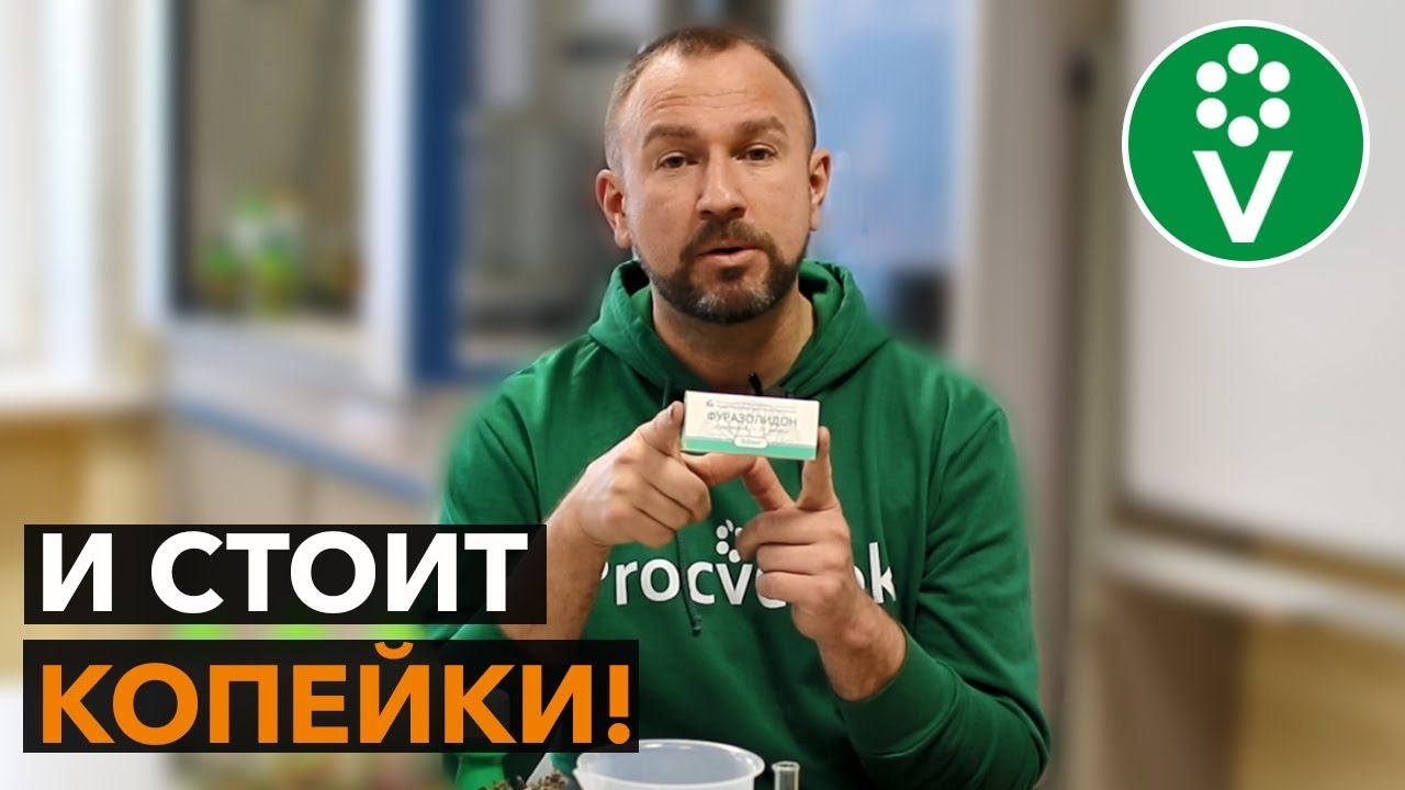 Это средство от БАКТЕРИАЛЬНОГО ОЖОГА продается в каждой аптеке! смотреть онлайн