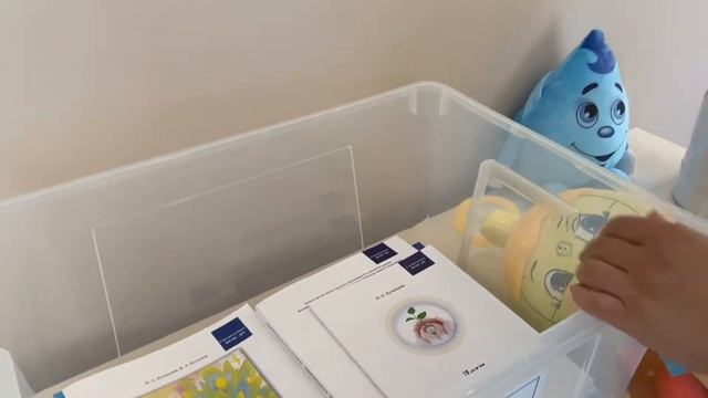 Программа финансового воспитания дошкольников - Дети и денежные отношения. Школьная Лига смотреть онлайн