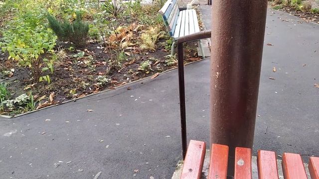 ЗАПОРОЖЬЕ НИЧЕГО СЕБЕ ТАК И ЖИВЕМ!!! 26.10.23