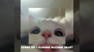 |Вайбовая песня в дорогу?|  (speed up)