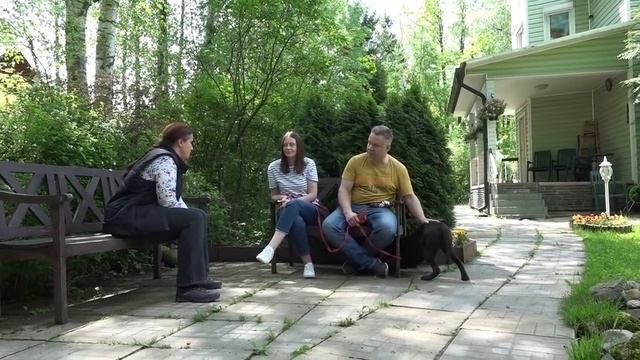 ДТ - 157. Если лабрадор не растет сам послушным смотреть онлайн