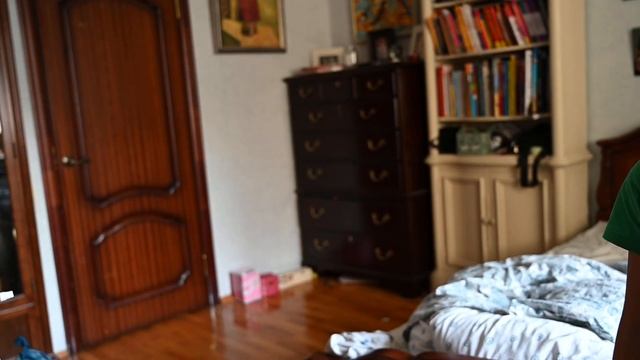 рассказ о волнистых попугаев смотреть онлайн