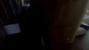 [ДЕНЬ РОЖДЕНИЯ]ОДИН ДЕНЬ ГЛАЗАМИ ЭДИСОНА