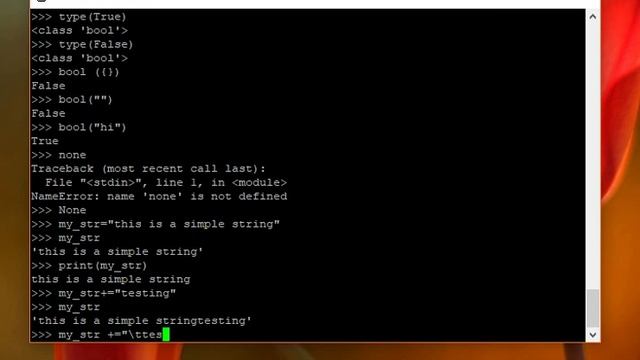 Python Implementation-by-NCD0119H003 смотреть онлайн