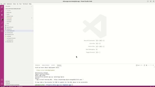MongoDB Atlas App Svcs Template Full-Stack App Demo смотреть онлайн