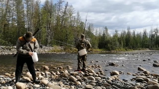 Порыбачили с медведями в Якутии на хариуса. We went fishing with bears in Yakutia for grayling. смотреть онлайн