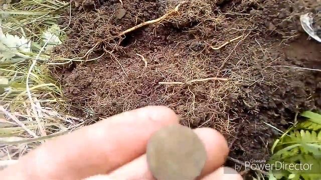 Раскопали старую деревню.Коп в Приморском крае... смотреть онлайн