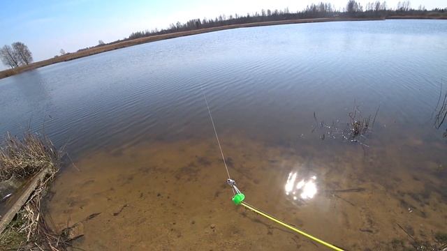 Рыбалка фидером на платнике.Смоленская область,ловим рыбку 2021 смотреть онлайн