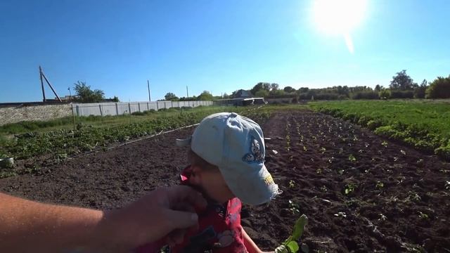 Деревенские будни / Очередной огородный влог / Пацаны сажают рассаду смотреть онлайн