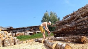 Как пилит Stihl 260