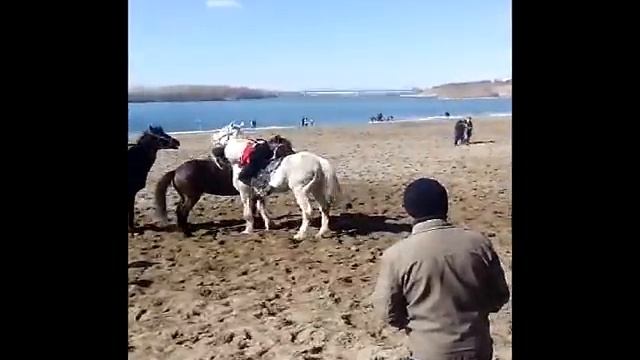 Наурыз 2016 Аударыспак смотреть онлайн