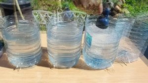 Капельный полив своими руками без затрат из пятилитровых пластиковых бутылок и ушных палочек.