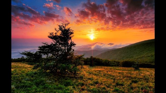 Fascination- NAT KING COLE - соло аккордеон A.Culcicovschi. 07.03.2023 смотреть онлайн