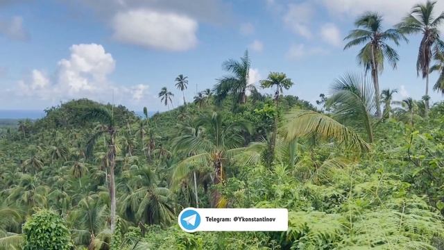 Земля в Доминикане выгодная инвестиция смотреть онлайн