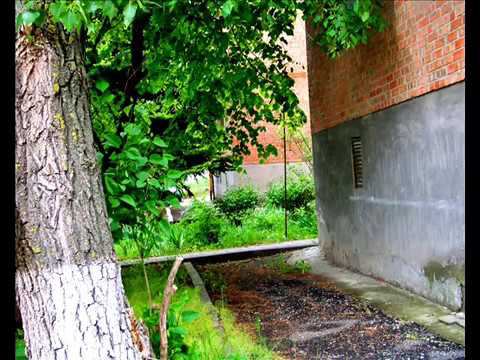 Пламя клёнов у подъезда