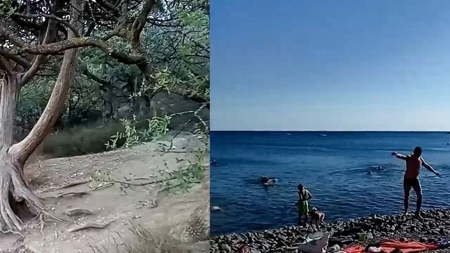 МУЗЫКА ДЛЯ ДУШИ.ЗВУКИ МОРЯ.Природа и поэзия.Music for the soul.Sounds of the sea.#звуки природы#