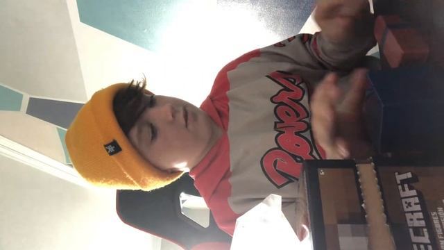 Unboxing A Minecraft Mystery Box