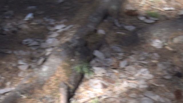 Магия Карелии смотреть онлайн