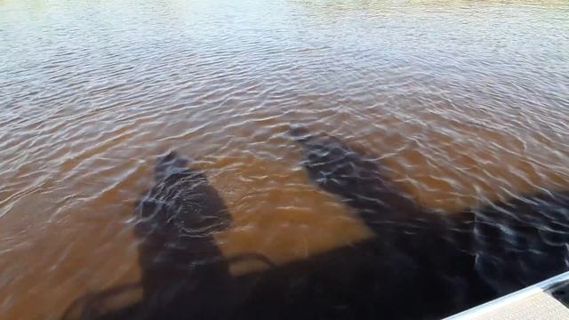 Видео отчет о рыбалке на Тавде (5 июля 2019) смотреть онлайн