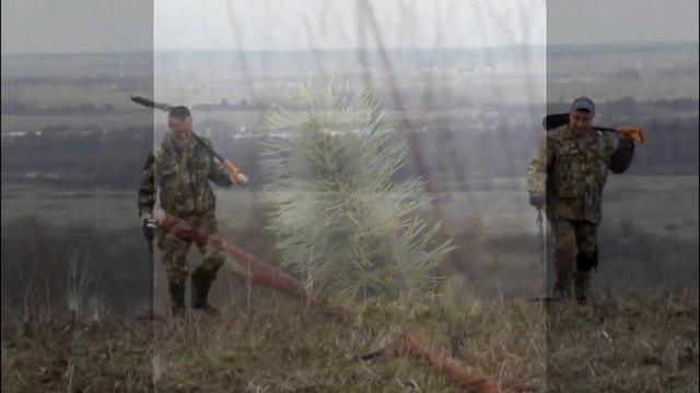 Надо поле притоптать! смотреть онлайн