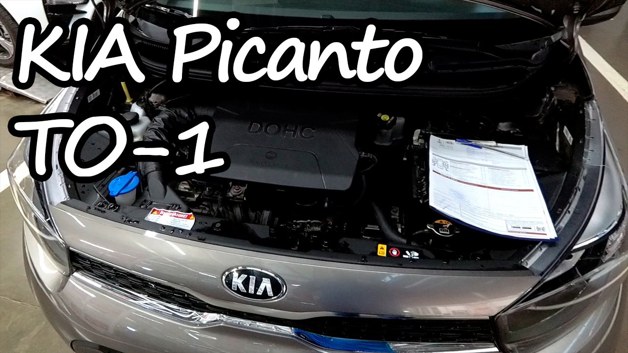 ТО-1 КИА Пиканто. Что должны делать на ТО официалы смотреть онлайн