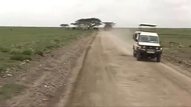 2006-03 - Tanzania: Serengeti Game Drive смотреть онлайн