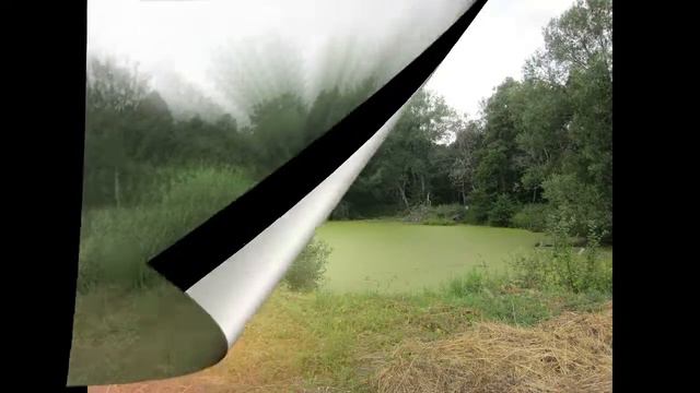 То не ветер ветку клонит народная песня исполнение фото и видео Татьяна Талызина смотреть онлайн