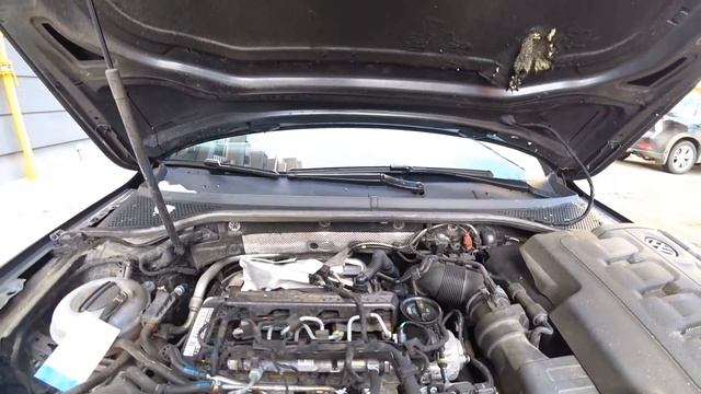 Бодрый Passat B8 из Германии! смотреть онлайн