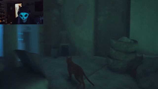 The Cuties Game Ever (Stray PT1) смотреть онлайн