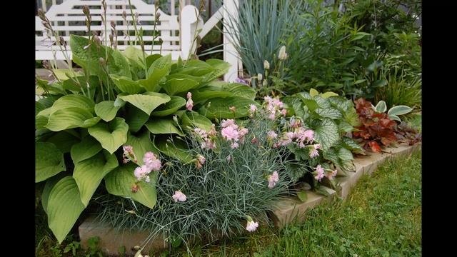 Цветник как с картинки журнала! Основные принципы! Бордюр. Пересадка крупных растений. смотреть онлайн