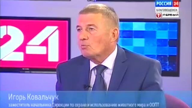 Интервью: Алибеков Артур, Ковальчук Игорь о Геопортале Амурской области смотреть онлайн