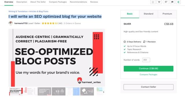 Example of a Great Fiverr SEO Blog and SEO Website Content Writer! смотреть онлайн