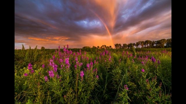 [ВДОХНОВЕНИЕ] природа смотреть онлайн