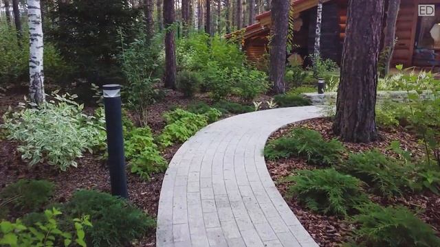 ECO DESIGN Лесной бисквит | Ландшафтный дизайн смотреть онлайн