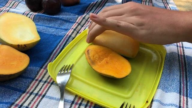 Обзор тропических фруктов Индии (ГОА) / ТОП 10 фруктов ГОА смотреть онлайн