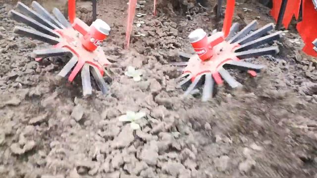 Steketee IC-LIGHT kamerás sorközművelő gép gumiujjas kapával Napraforgóban Mezőtúr határában смотреть онлайн