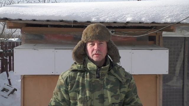 ЧЕМ И КАК КОРМЛЮ КРОЛИКОВ ПРОСТЫЕ ПРАВИЛА КОРМЛЕНИЯ КРОЛИКОВ Кролики содержание и разведение смотреть онлайн