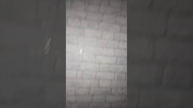 28 ноября 2023 г. смотреть онлайн