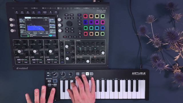 Waldorf Iridium Sound Demo (no talking) with Patches for Techno, Ambient and Electronica смотреть онлайн